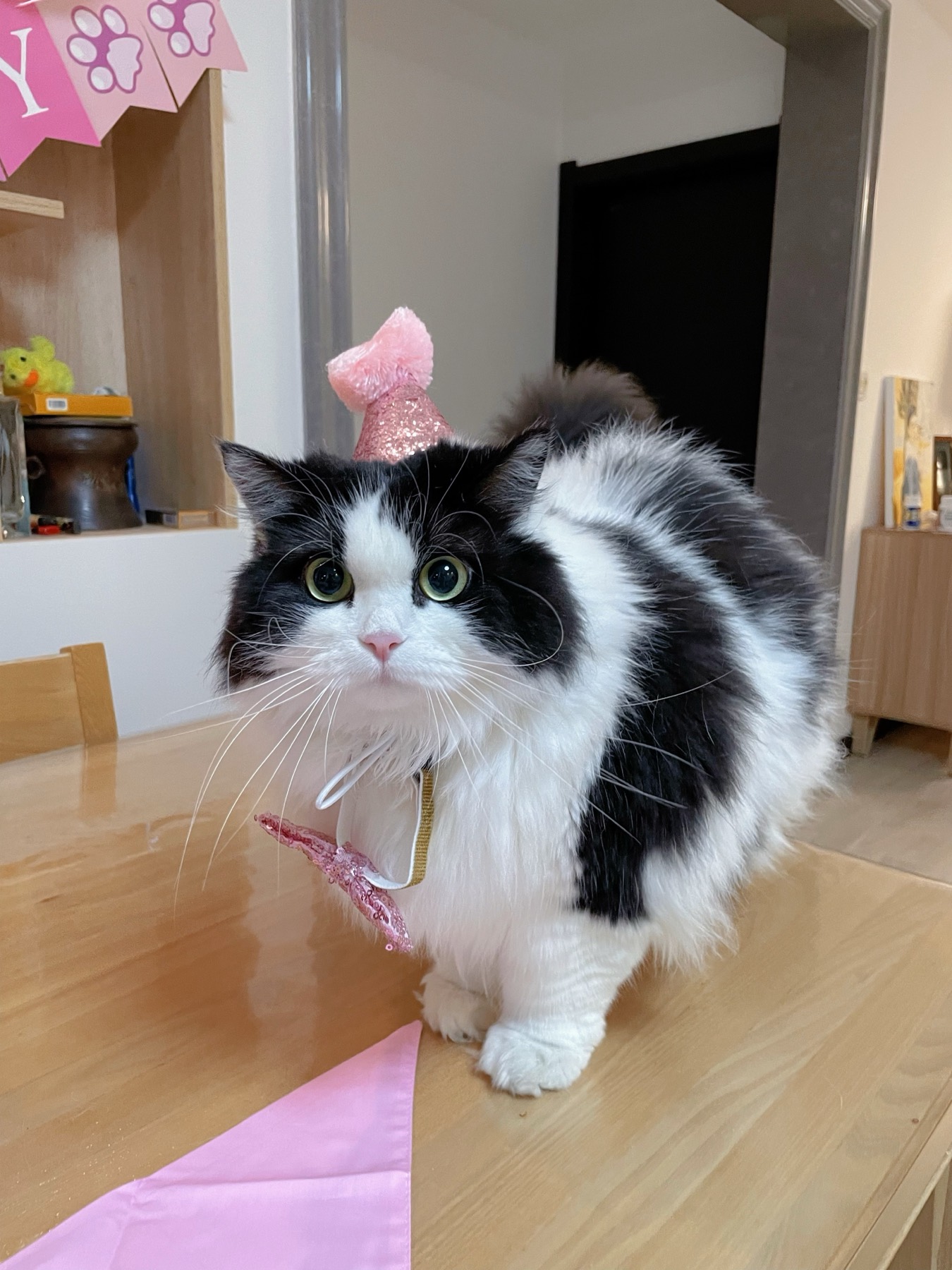 Planck Margaret Yang wearing a pink party hat
